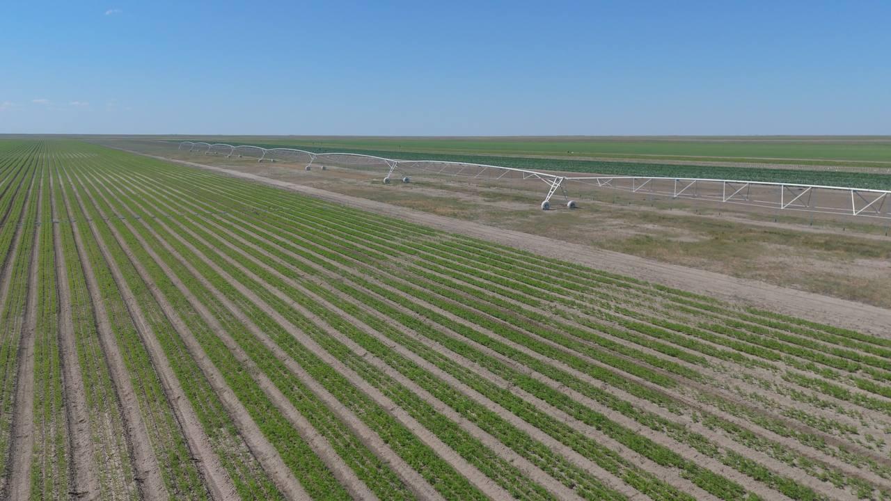 Kazakhstan invests returned assets in Aktobe water security project