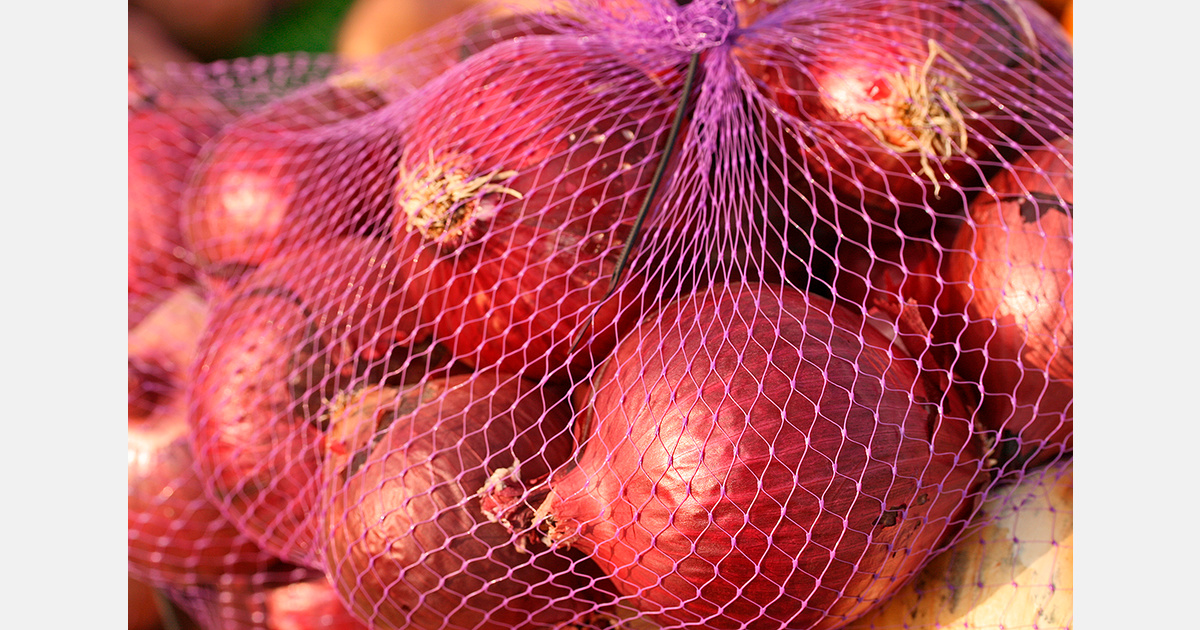 Kazakhstan&rsquo;s Zhambyl region expects record onion harvest